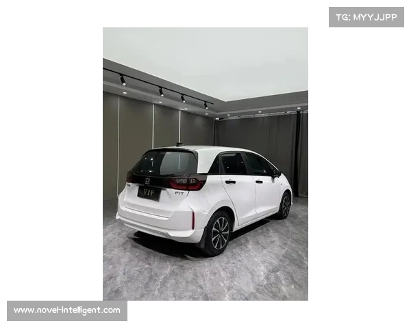 全新本田飞度亮相内外大升级，提海鸥 的车主要慌了#本田飞度